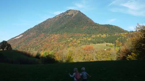 20171017_164655.jpg